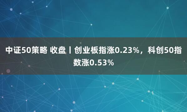 中证50策略 收盘丨创业板指涨0.23%，科创50指数涨0.53%