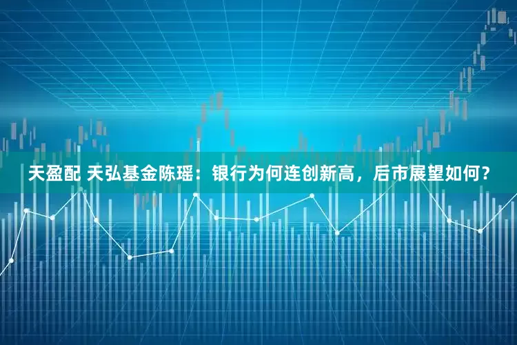 天盈配 天弘基金陈瑶：银行为何连创新高，后市展望如何？