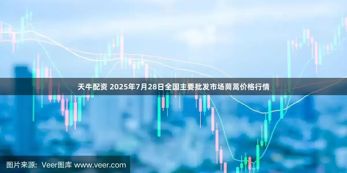 天牛配资 2025年7月28日全国主要批发市场茼蒿价格行情
