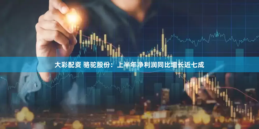 大彩配资 骆驼股份：上半年净利润同比增长近七成